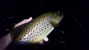 Tom Gyory fishing at night