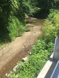 Coplay Creek Sinkhole