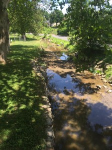 Coplay Creek Sinkhole